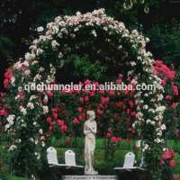 High Quality Euro Type Rose Garden Arch Dedigns